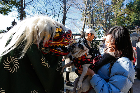 オリーは多摩川浅間神社へ初詣に行きました。