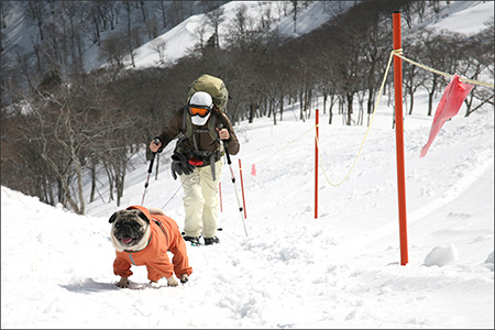 天神平から谷川岳に登りました。