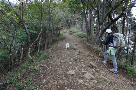 ヤビツ峠から大山に登りました。