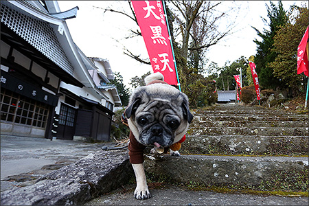 畑宿から元箱根まで、箱根旧街道を歩きました。