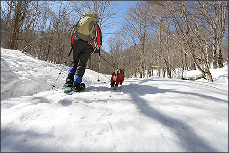 オリーは雄国山に登りました。