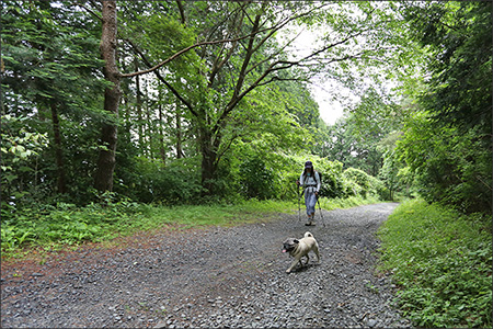 オリビアは筑波山に登りました。