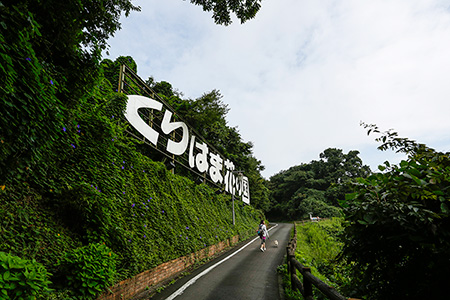 「くりはま花の国」にコスモスを見に行きました。