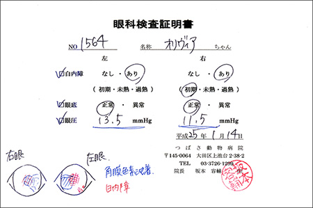 オリビアの眼科検査証明書