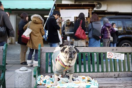 日曜限定営業のたい焼き屋台「そら」